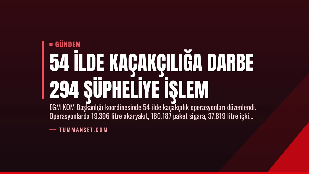 54 İlde Kaçakçılığa Darbe 294 Şüpheliye İşlem