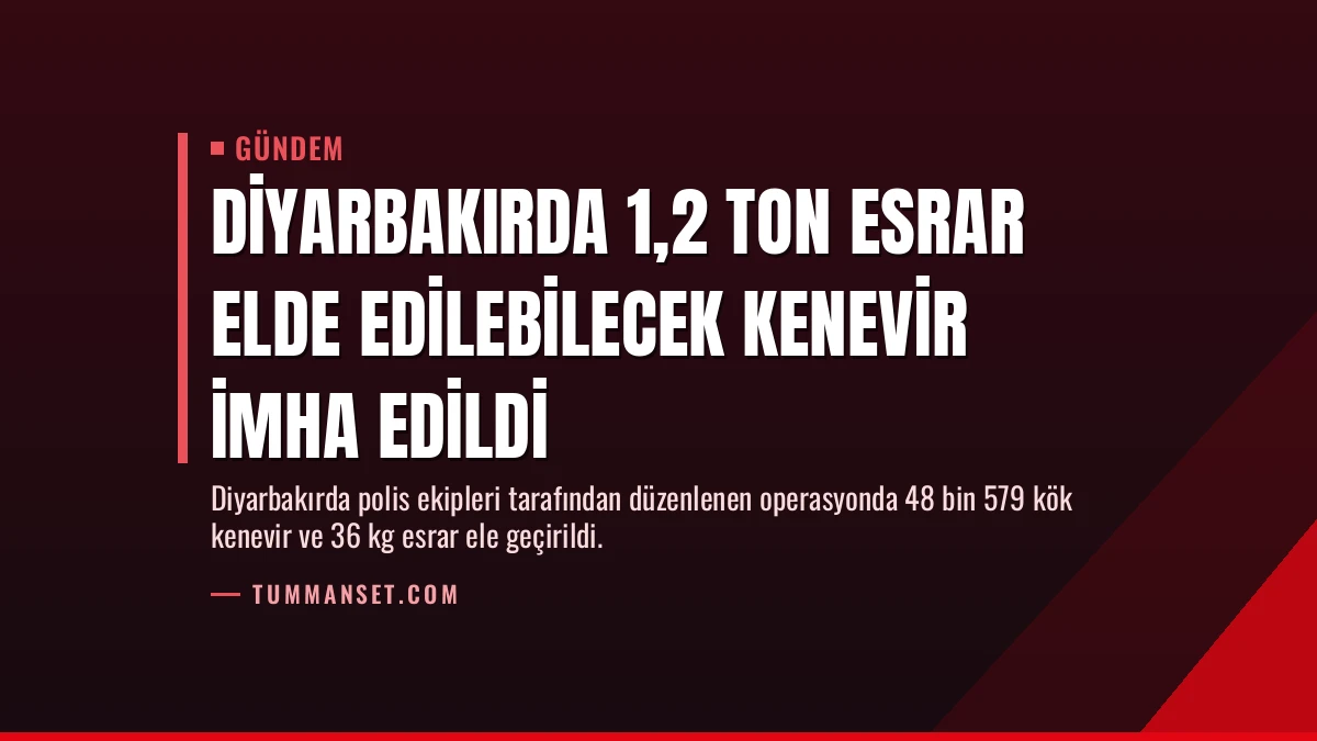 Diyarbakırda 1,2 Ton Esrar Elde Edilebilecek Kenevir İmha Edildi
