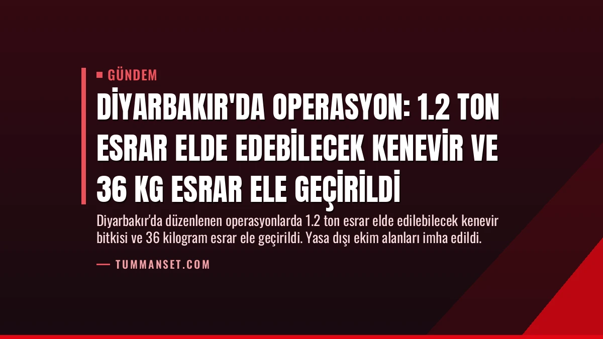 Diyarbakır’da Operasyon: 1.2 Ton Esrar Elde Edebilecek Kenevir ve 36 Kg Esrar Ele Geçirildi