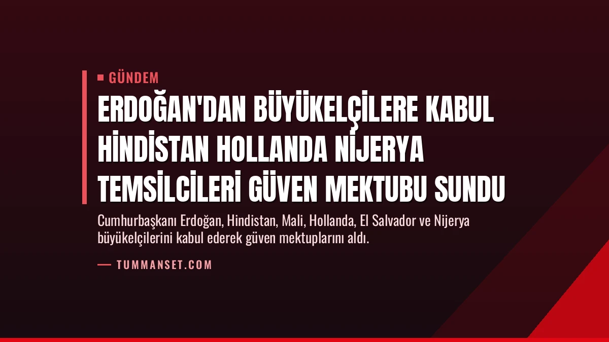 Erdoğan’dan Büyükelçilere Kabul Hindistan Hollanda Nijerya Temsilcileri Güven Mektubu Sundu