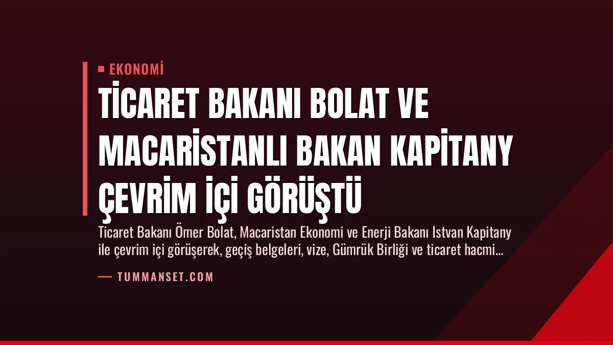 Ticaret Bakanı Bolat ve Macaristanlı Bakan Kapitany Çevrim İçi Görüştü