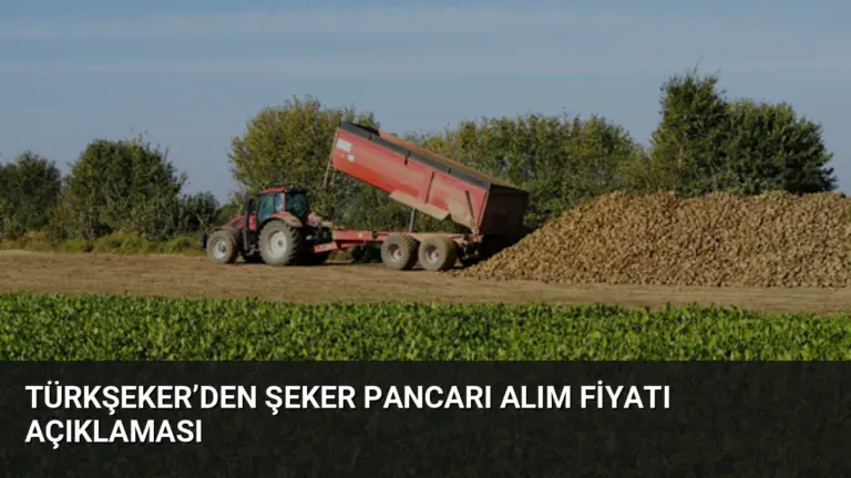 TÜRKŞEKER’DEN ŞEKER PANCARI ALIM FİYATI AÇIKLAMASI